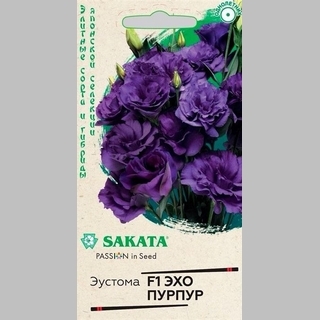 Эустома Эхо Пурпур F1