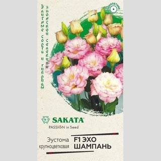 Эустома Эхо Шампань F1