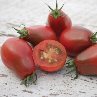 Томат Фиолетовая груша Эвана (Evan`s Purple Pear)