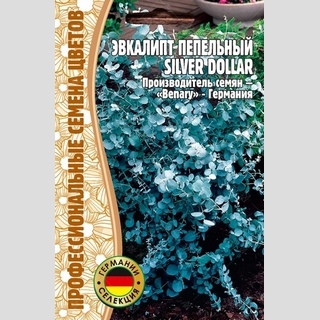 Эвкалипт Silver Dollar (большой пакет)