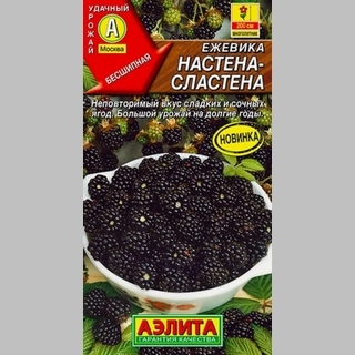 Ежевика Настена-сластена