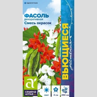 Фасоль декоративная Смесь окрасок вьющаяся