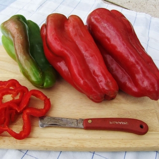 Перец Фатима