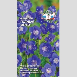 Фацелия Голубая мечта