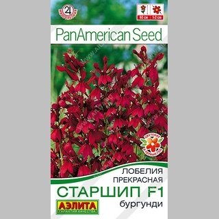 Лобелия Старшип F1 Бургунди