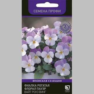 Фиалка Флорал Пауэр Вайт Роуз Винг (рогатая)