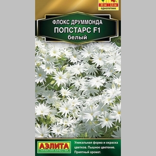 Флокс Попстарс F1 Белый