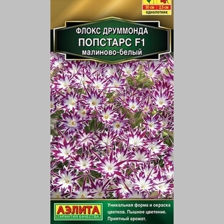 Флокс Попстарс F1 Малиново-белый