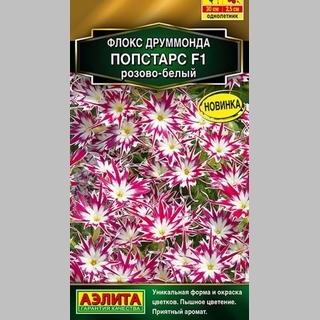 Флокс Попстарс F1 Розово-белый