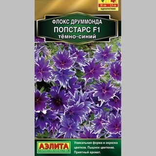 Флокс Попстарс F1 Темно-синий
