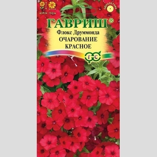 Флокс Очарование красное