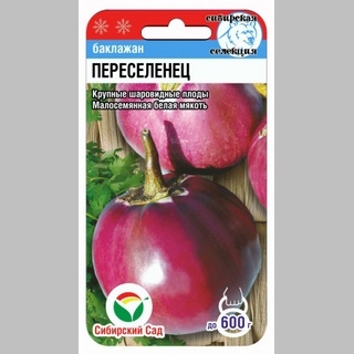 Баклажан Переселенец