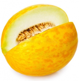 Дыня Уральский Скороспел ®