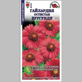 Гайлардия Остистая Бургунди