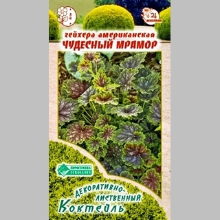 Гейхера Чудесный мрамор американская