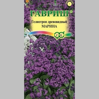 Гелиотроп Марина