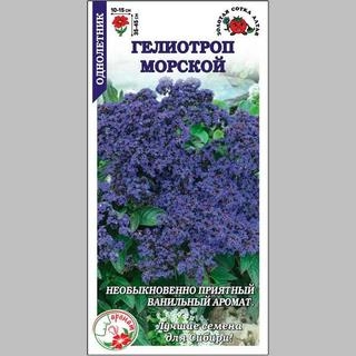 Гелиотроп Морской