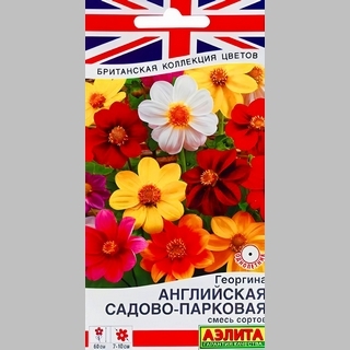 Георгина Английская садово-парковая смесь