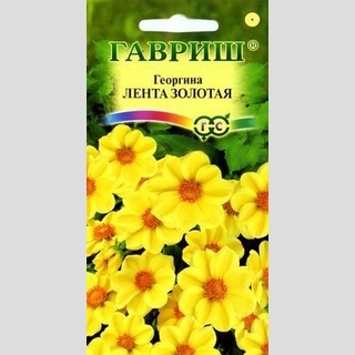 Георгина Лента золотая
