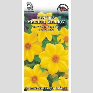 Георгина Мигнон Йеллоу