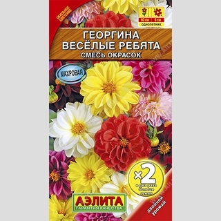 Георгина Веселые ребята смесь