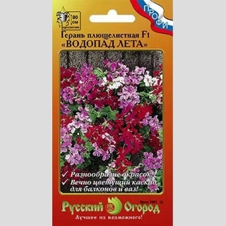Герань Водопад лета F1 смесь (ампельная)
