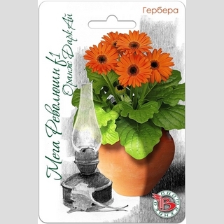 Гербера Мега Революшн F1 Оранж Даркт Ай