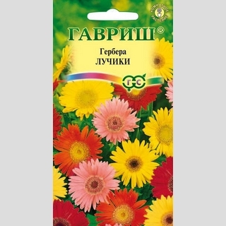 Гербера Лучики