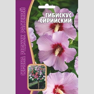 Гибискус Сирийский (большой пакет)