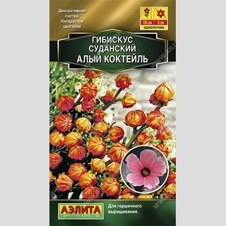 Гибискус Алый коктейль суданский