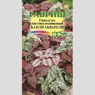 Гипоэстес Капли акварели