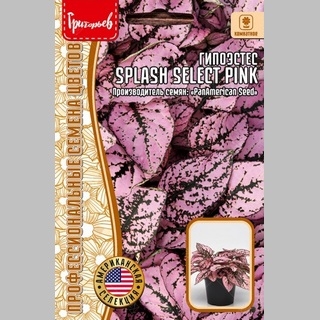 Гипоэстес Splash Select Pink (большой пакет)