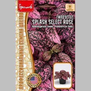 Гипоэстес Splash Select Rose (большой пакет)