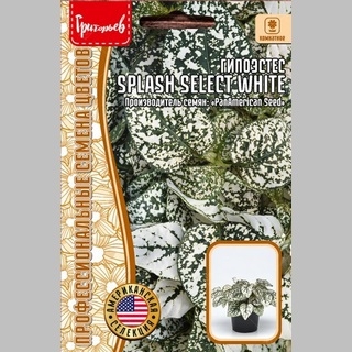 Гипоэстес Splash Select White (большой пакет)