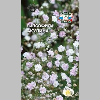 Гипсофила Акулина (тихоокеанская)