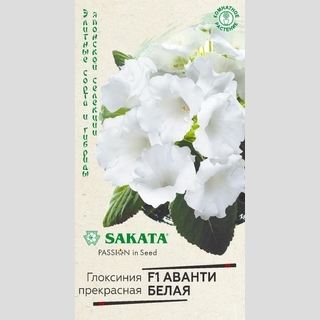 Глоксиния Аванти белая F1