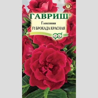 Глоксиния Брокада красная F1