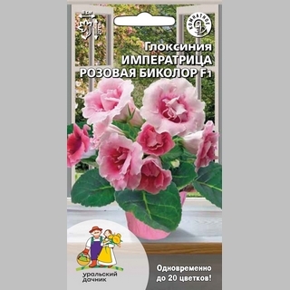 Глоксиния Императрица розовая биколор F1