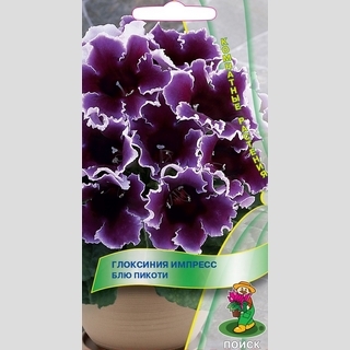 Глоксиния Импресс Блю Пикоти