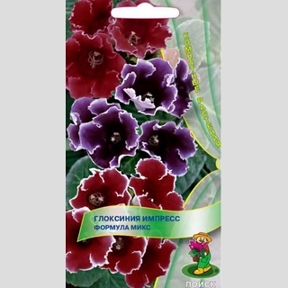 Глоксиния Импресс Формула микс