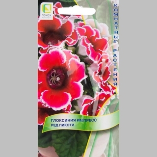 Глоксиния Импресс Ред Пикоти