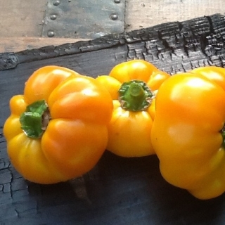 Перец Гогошары жёлтый (большой пакет)