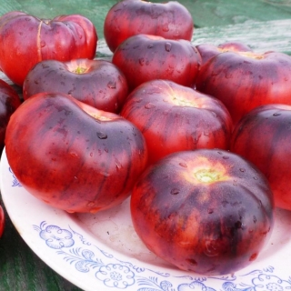 Томат Голубая прелесть (Blue Beauty)