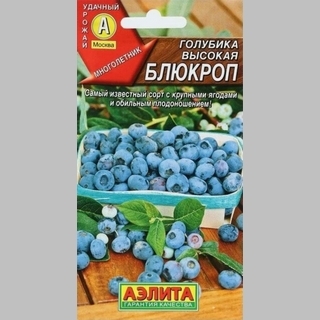 Голубика Блюкроп высокая