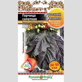 Горчица салатная Русский размер