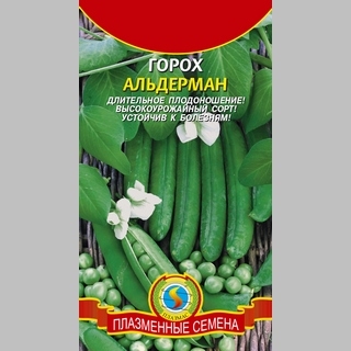 Горох Альдерман