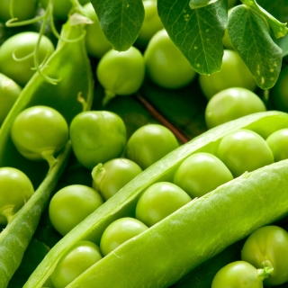 Горох Амброзия (большой пакет)