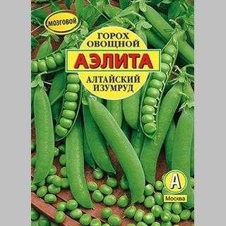 Горох Алтайский изумруд (большой пакет)