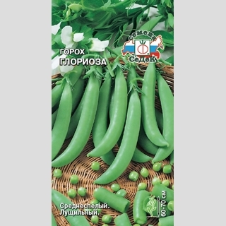 Горох Глориоза