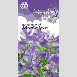 Горошек душистый Лавандовые крылья
